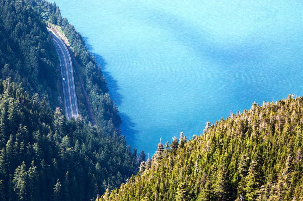 Image - this image does not have an alt text, please let me know.