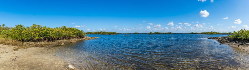 Image - this image does not have an alt text, please let me know.